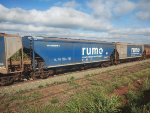 RUMO HTT-350976-1
